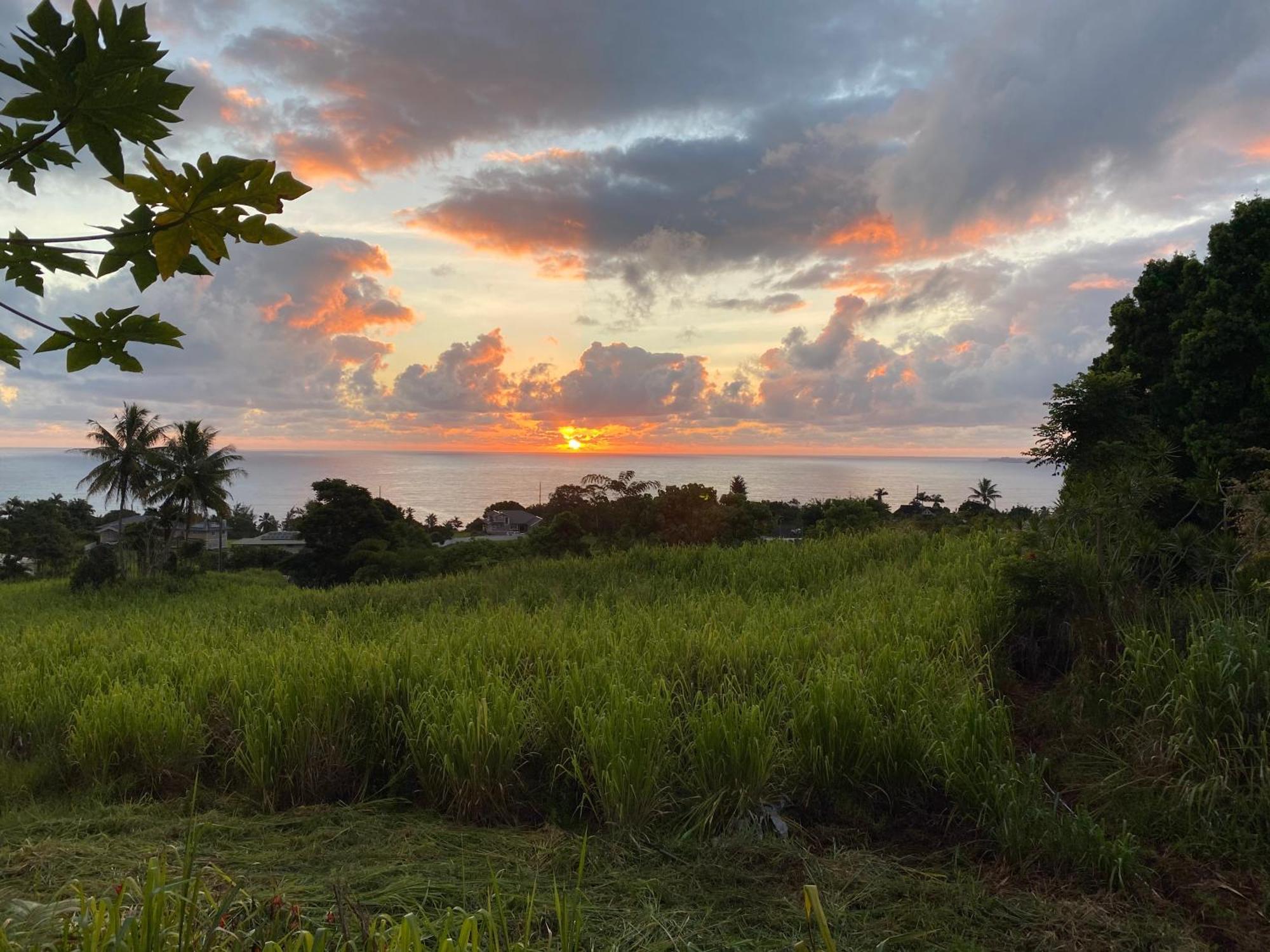 Hawaii Magic Skies Farmstay Paukaa Екстер'єр фото
