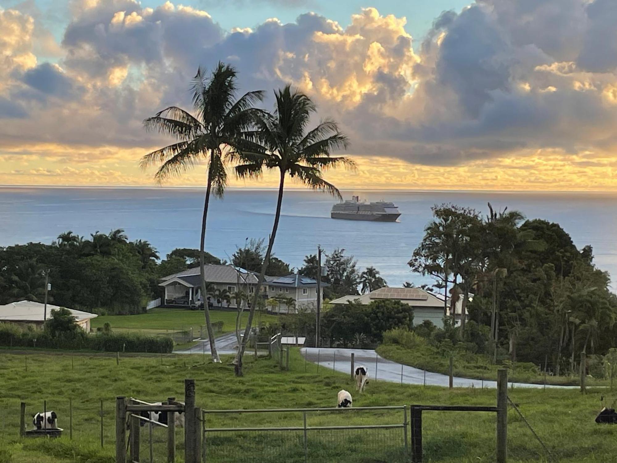 Hawaii Magic Skies Farmstay Paukaa Екстер'єр фото